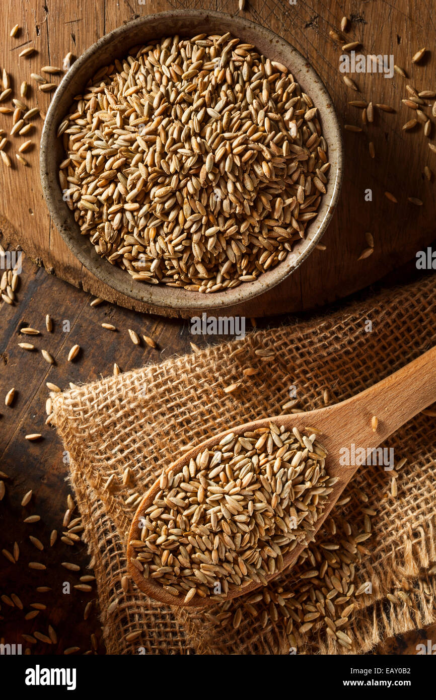 Organici grezzi secco segale grano in un cucchiaio Foto Stock