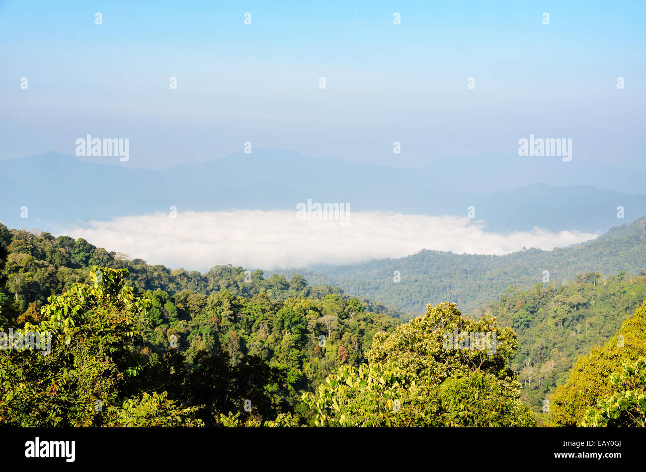 Bella la gamma della montagna e la nebbia di mattina da Panoen Thung punto panoramico a Kaeng Krachan National Park Phetchaburi provin Foto Stock
