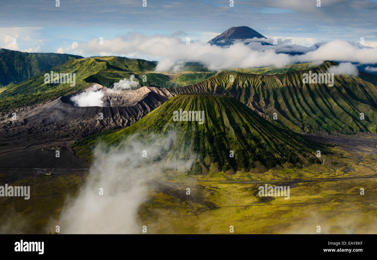 Monte Bromo, Monte Batok e il Monte Semeru, isola di Giava, in Indonesia Foto Stock