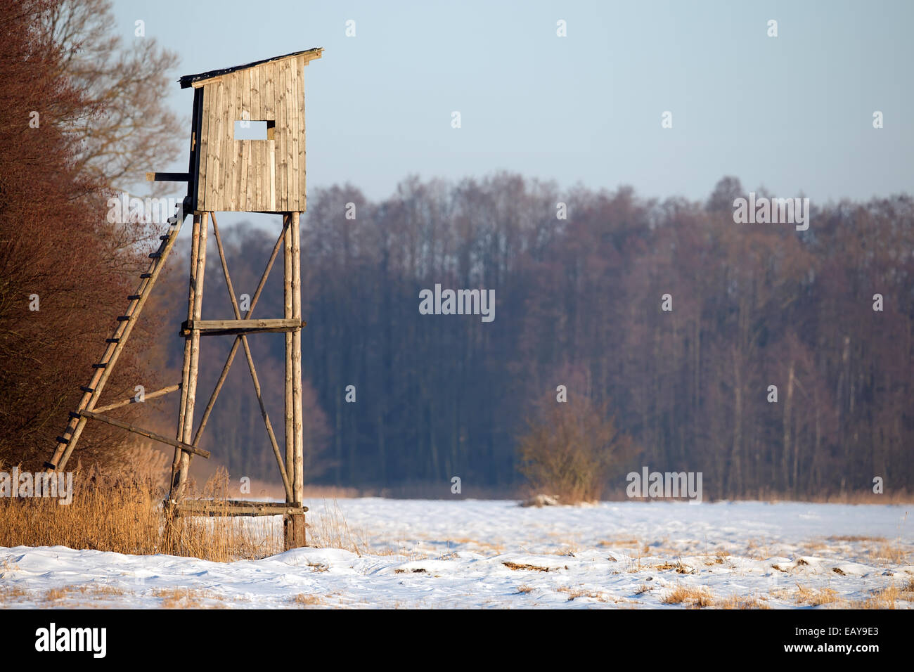 Pulpito di caccia nel paesaggio invernale Foto Stock