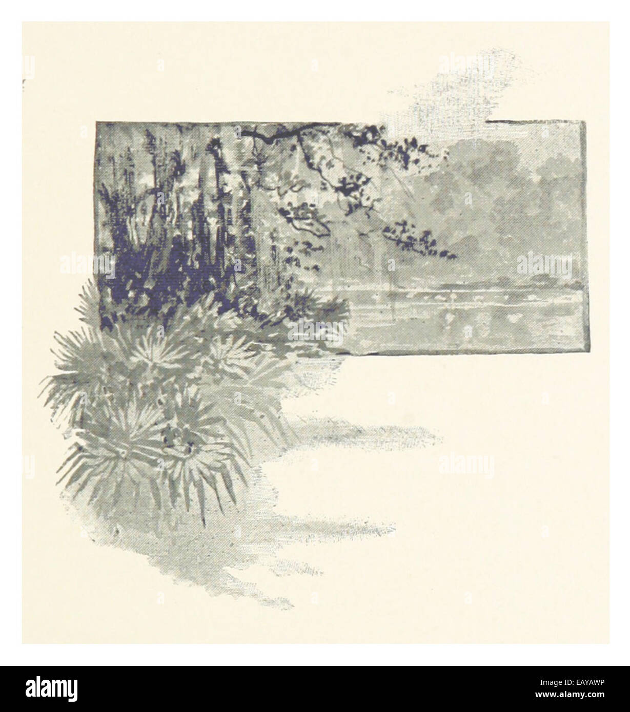 (Florida, 1889) p219 sul bordo del fiume Foto Stock