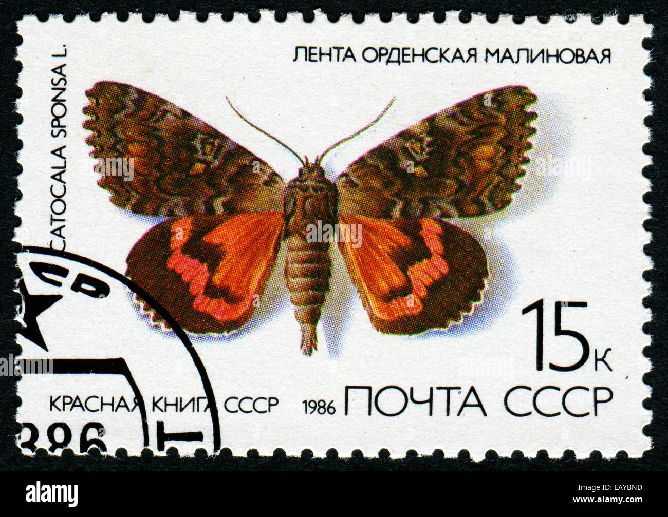 Unione Sovietica - circa 1986: un timbro stampato in URSS - una farfalla con la scritta 'Catocala sponsa", dalla serie 'Red Book' Foto Stock