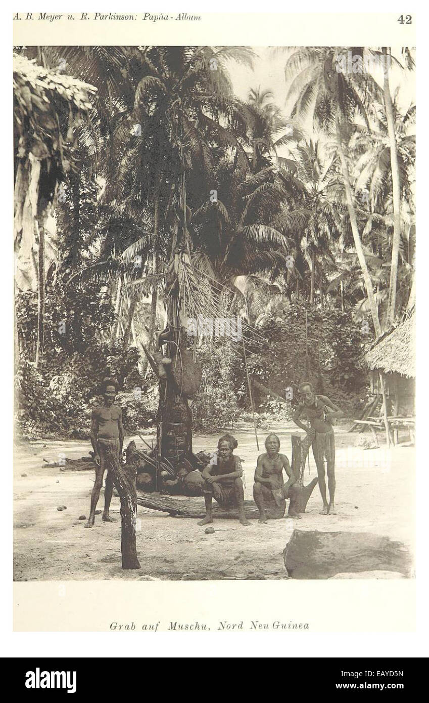 Un'illustrazione di *PAPUA-Typen*, Tafel 42, raffigurante i tipi tradizionali di persone provenienti dalla Papua nuova Guinea. Questo piatto fa parte di uno studio più ampio sulle diverse culture e gruppi etnici della regione. Foto Stock