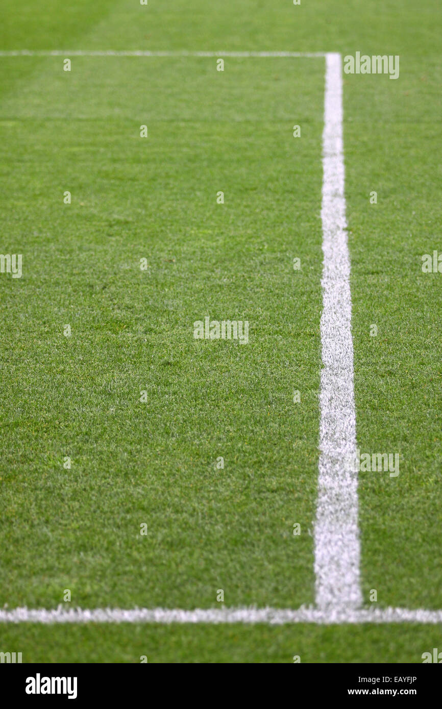 Strisce bianche sul verde del campo di calcio Foto Stock