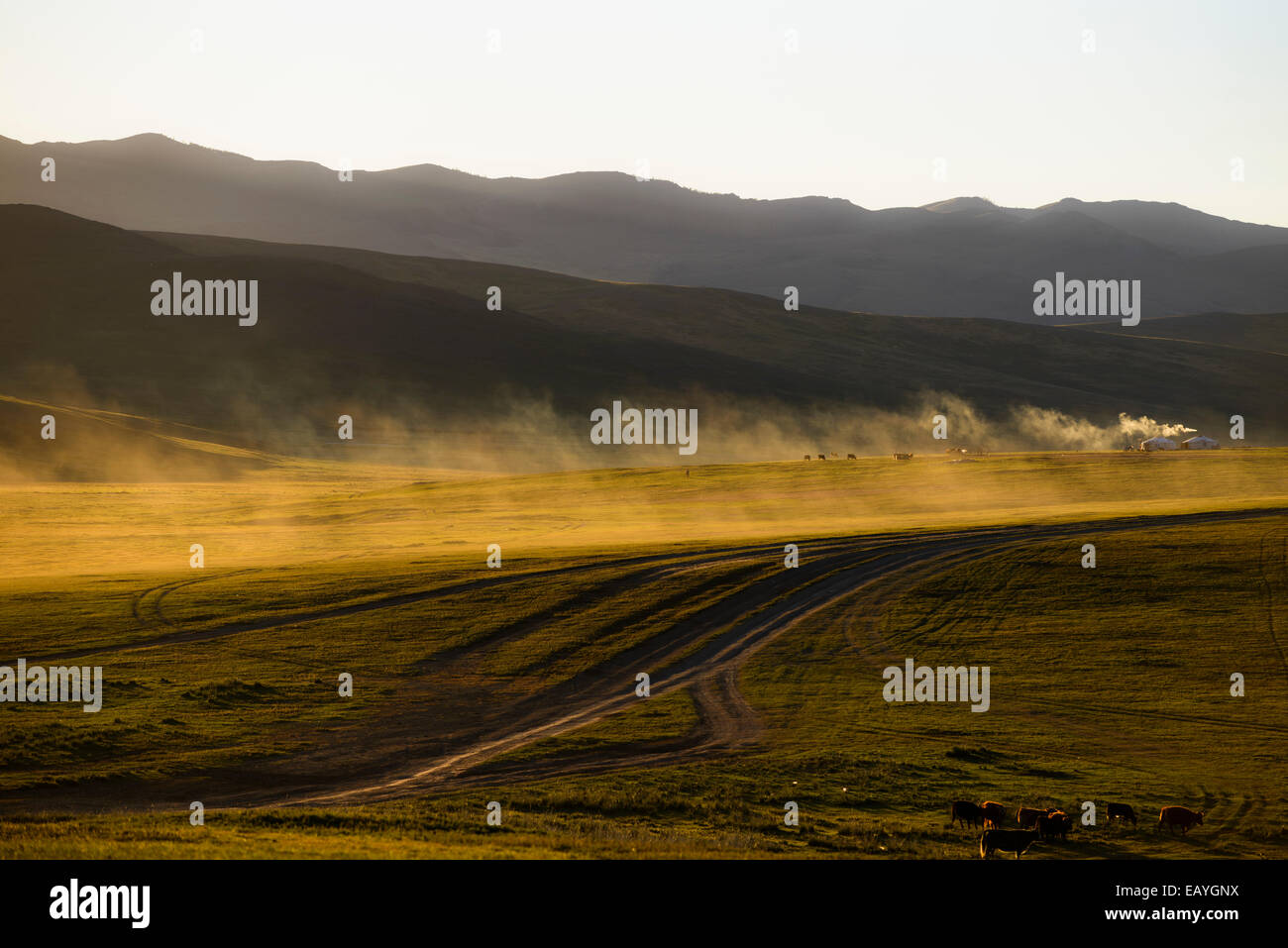 Gers nella steppa, Mongolia Foto Stock