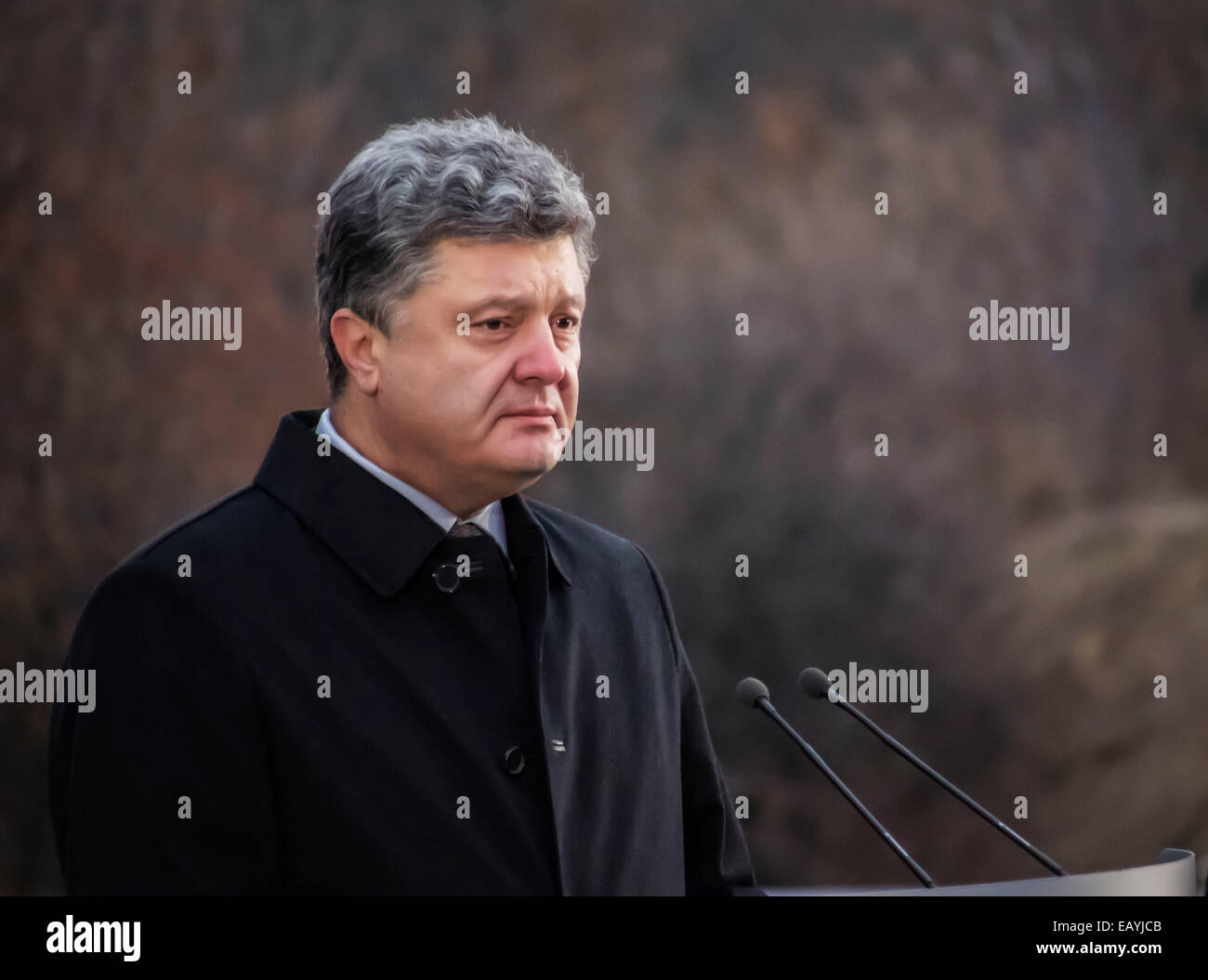 Presidente dell'Ucraina etro Poroshenko -- Presidente dell'Ucraina con sua moglie, Kiev cittadini e representetives di tutte le religioni confessioni venite al memoriale delle vittime del Holodomor e candele accese per onorare la memoria di tutte le vittime. Oggi, 22 novembre 2014 Petro Poroshenko Holodomor confrontato con la guerra non dichiarata in Ucraina nel 2014. Credito: Igor Golovnov/Alamy Live News Foto Stock