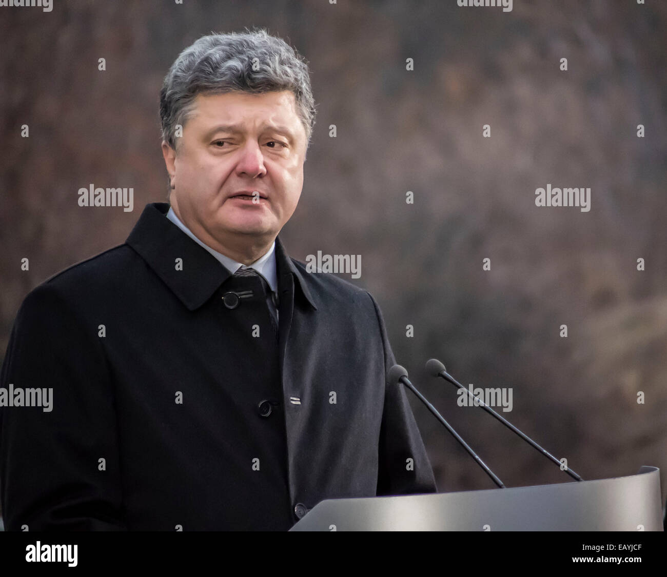 Presidente dell'Ucraina etro Poroshenko -- Presidente dell'Ucraina con sua moglie, Kiev cittadini e representetives di tutte le religioni confessioni venite al memoriale delle vittime del Holodomor e candele accese per onorare la memoria di tutte le vittime. Oggi, 22 novembre 2014 Petro Poroshenko Holodomor confrontato con la guerra non dichiarata in Ucraina nel 2014. Credito: Igor Golovnov/Alamy Live News Foto Stock