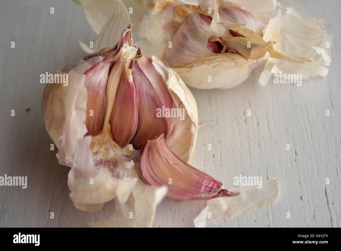 Aglio aprire dettaglio. su sfondo chiaro Foto Stock