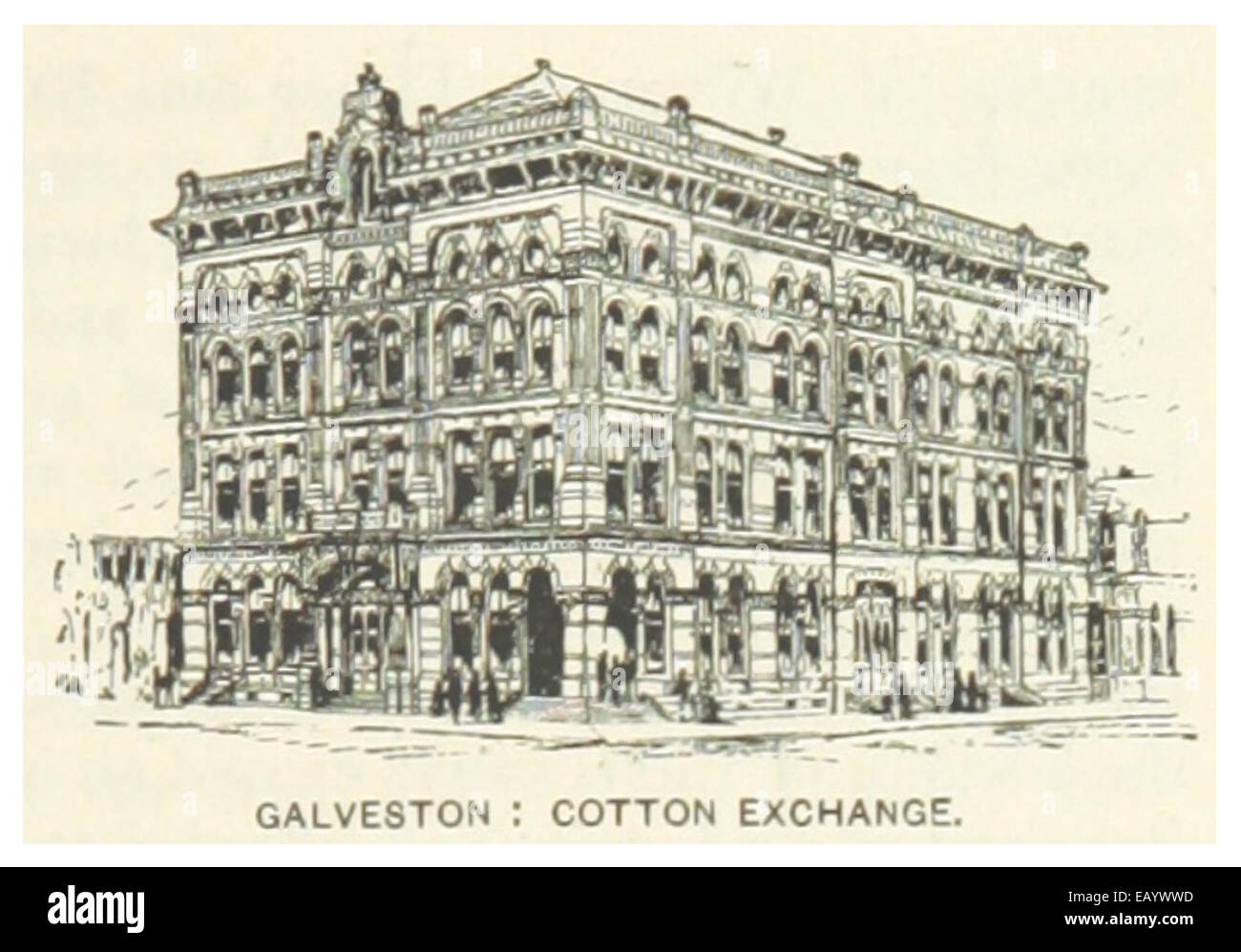US-TX(1891) p821 GALVESTON, COTTON EXCHANGE Foto Stock