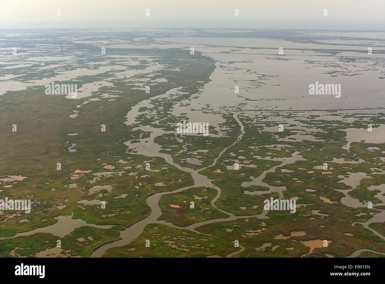 Verso la costa del Golfo del Messico presso il lago di fango, Cameron parrocchia, Louisiana, Stati Uniti d'America Foto Stock