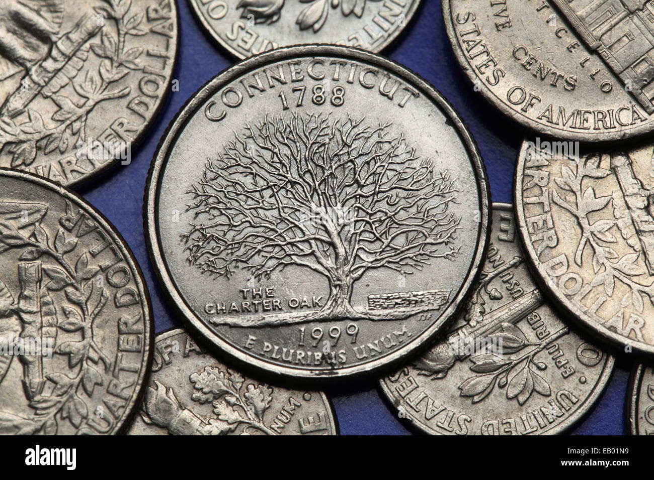 Monete di Stati Uniti d'America. Charter Oak raffigurato su di noi nel Connecticut trimestre (1999). Foto Stock