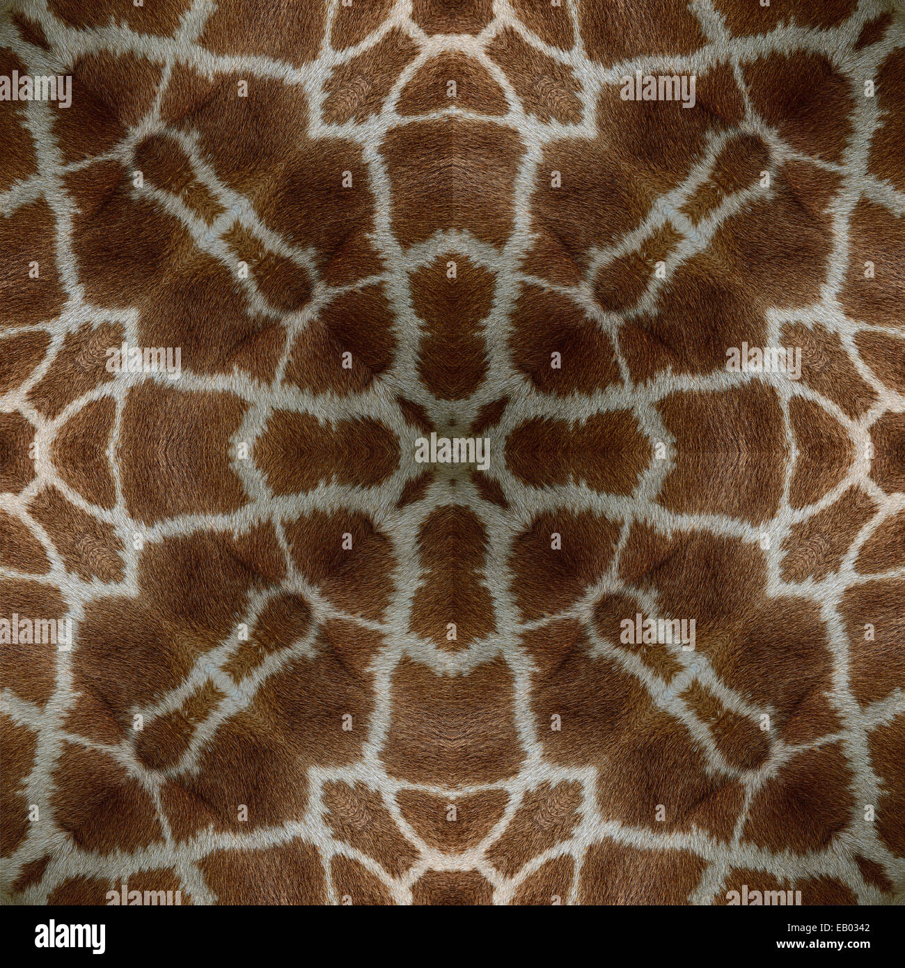 Bella la configurazione di sfondo realizzato da giraffa pelle Foto Stock