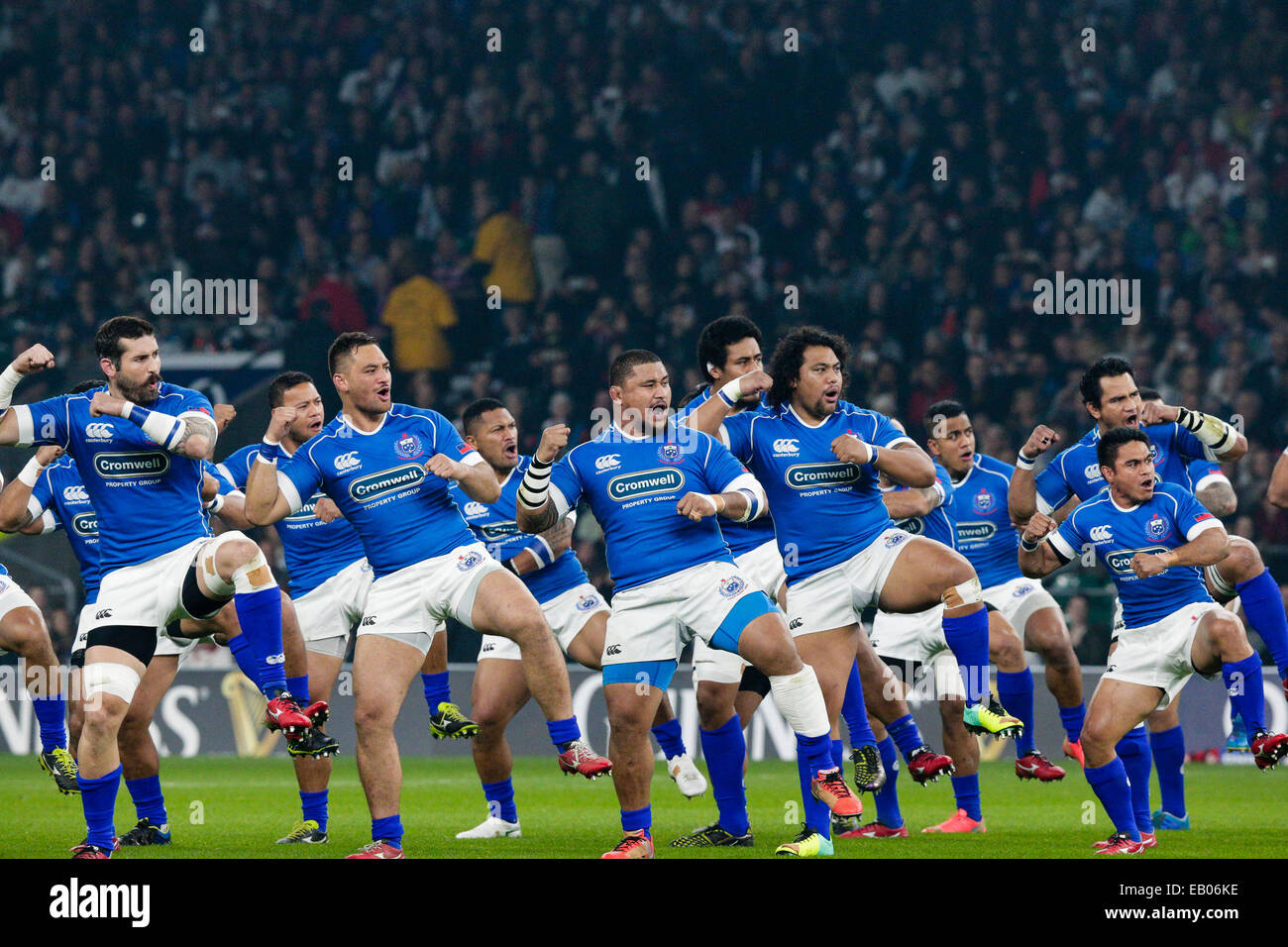 Londra, Regno Unito. 22 Novembre, 2014. Autunno internazionali. Tra Inghilterra e Samoa. Samoa eseguire Siva Tau prima della partita Credito: Azione Sport Plus/Alamy Live News Foto Stock