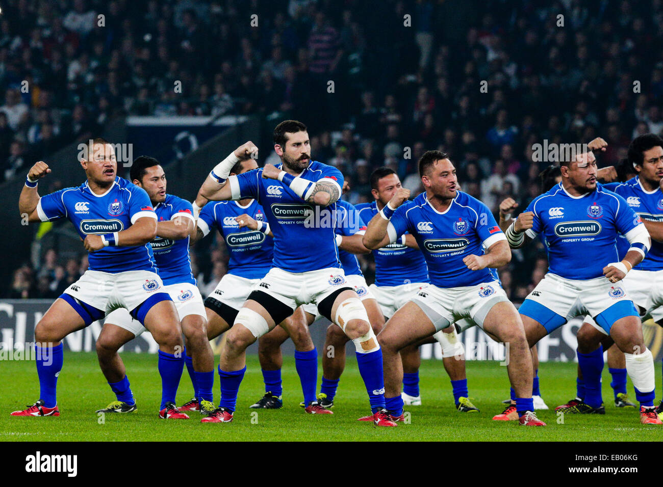 Londra, Regno Unito. 22 Novembre, 2014. Autunno internazionali. Tra Inghilterra e Samoa. Samoa eseguire Siva Tau prima della partita Credito: Azione Sport Plus/Alamy Live News Foto Stock