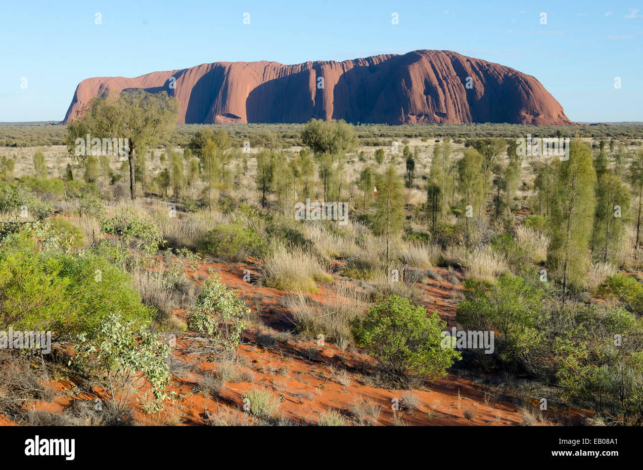 Ayers Rock, Uluru, Territorio del Nord, l'Australia Foto Stock