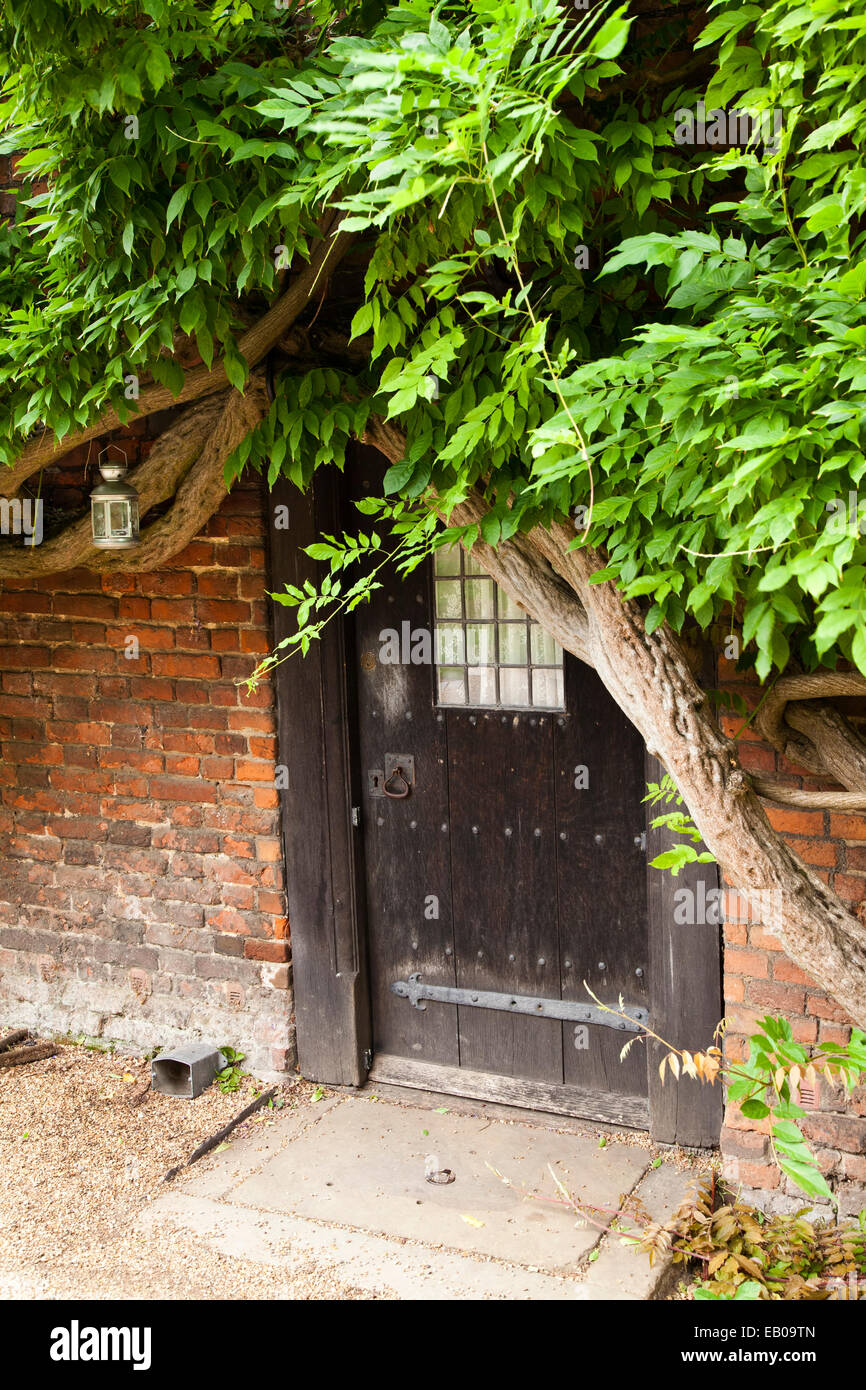 Piccola porta di legno con fogliame intorno alla parte superiore. Foto Stock