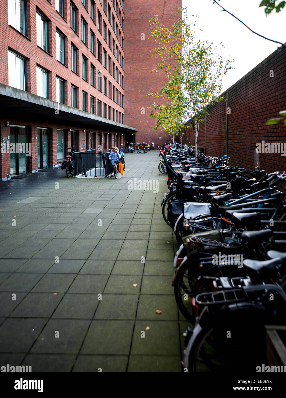 Garage per biciclette (Fietsenstalling) all'interno di edificio di appartamenti in Java Eiland Amsterdam Foto Stock