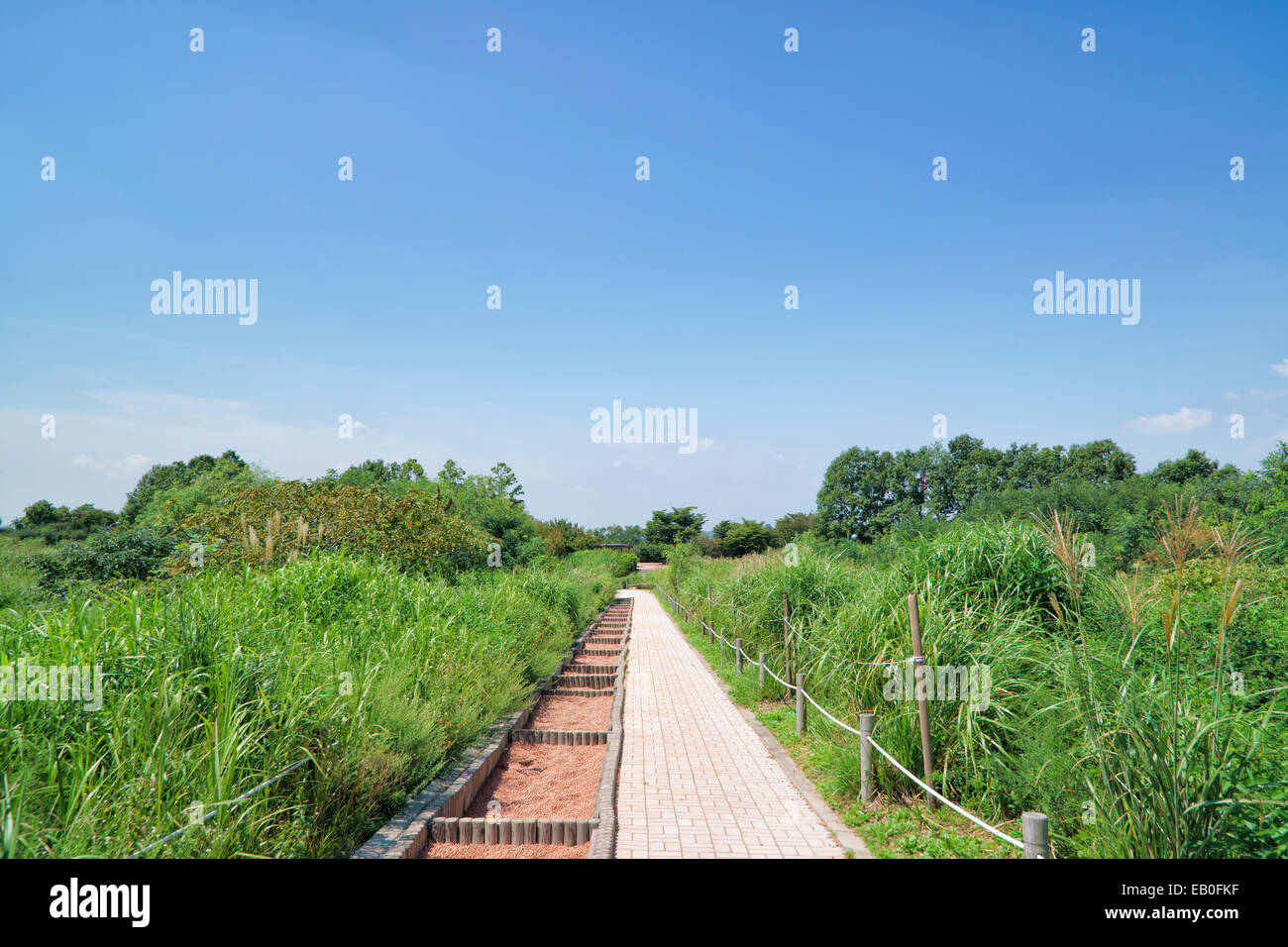 Percorso e hydroball percorso in un parco nella giornata di sole Foto Stock