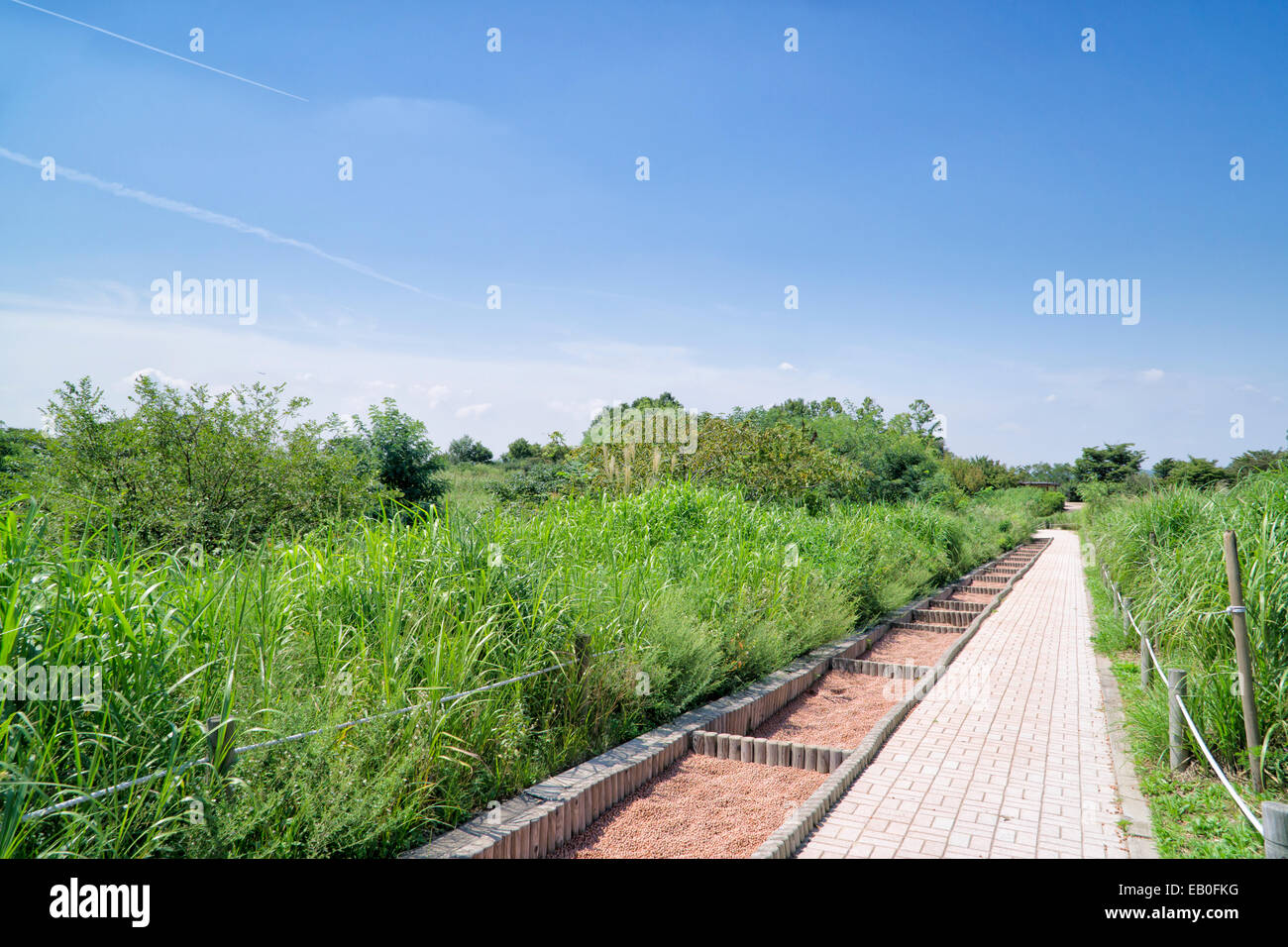 Percorso e hydroball percorso in un parco nella giornata di sole Foto Stock