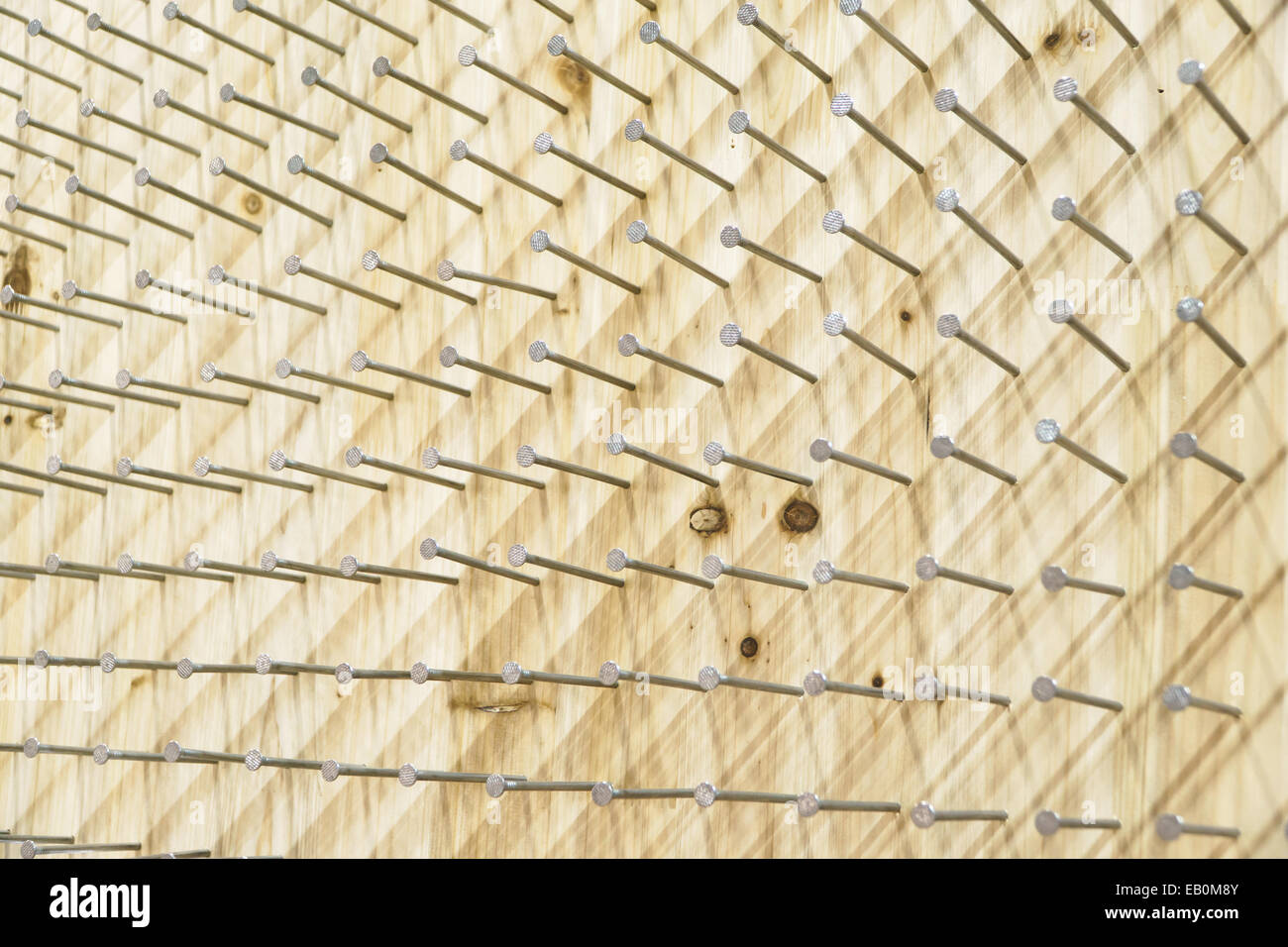 Incollate i chiodi su un pannello di legno Foto Stock