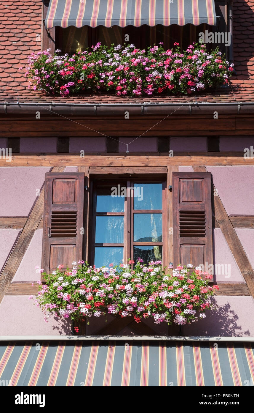 Il grazioso villaggio di Ribeauville nell'Alsazia, Francia, decorativo tetto di tegole, pittoresche strade in prima serata Foto Stock