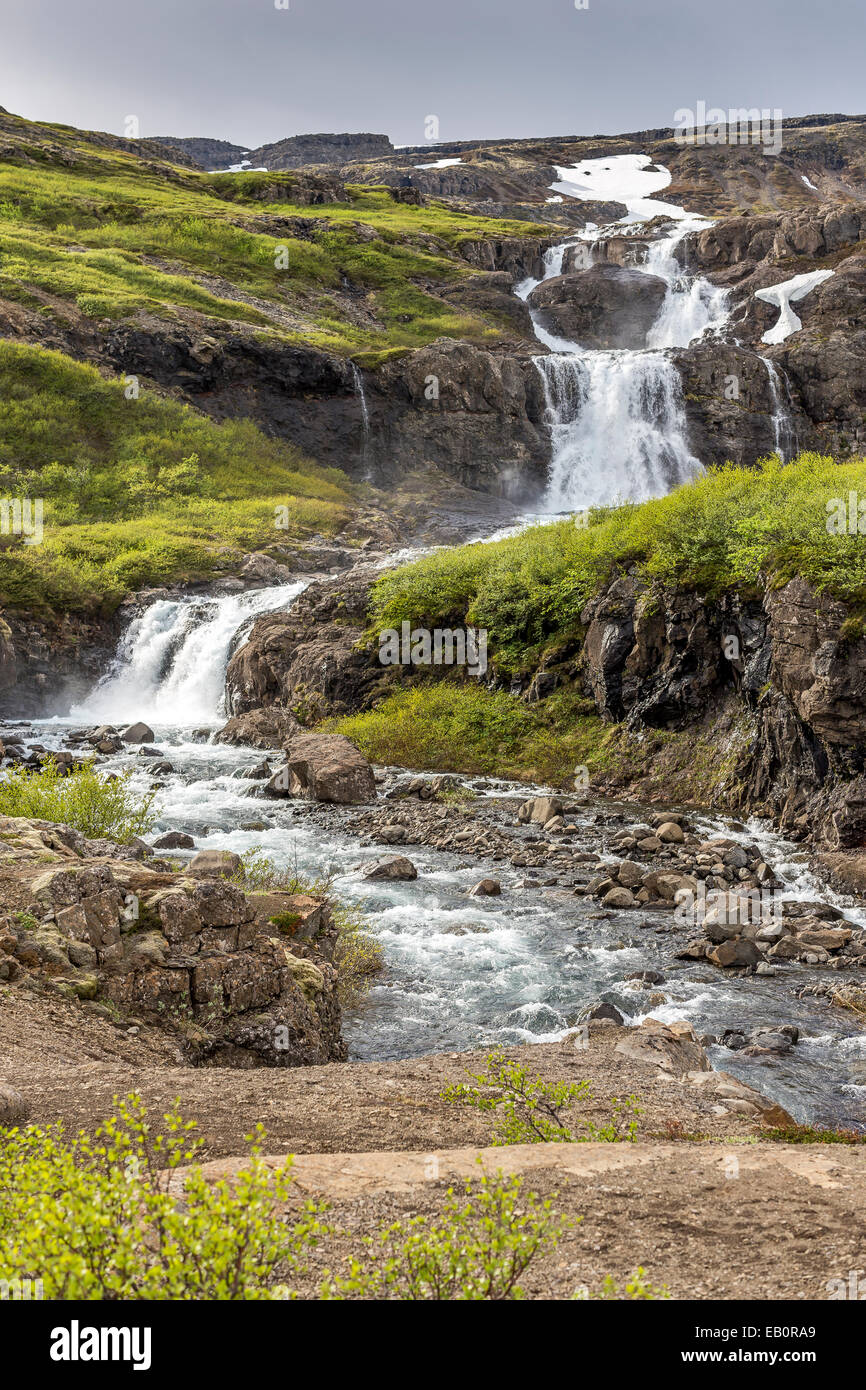 Islanda Westfjords Látrabjarg cascata Foto Stock
