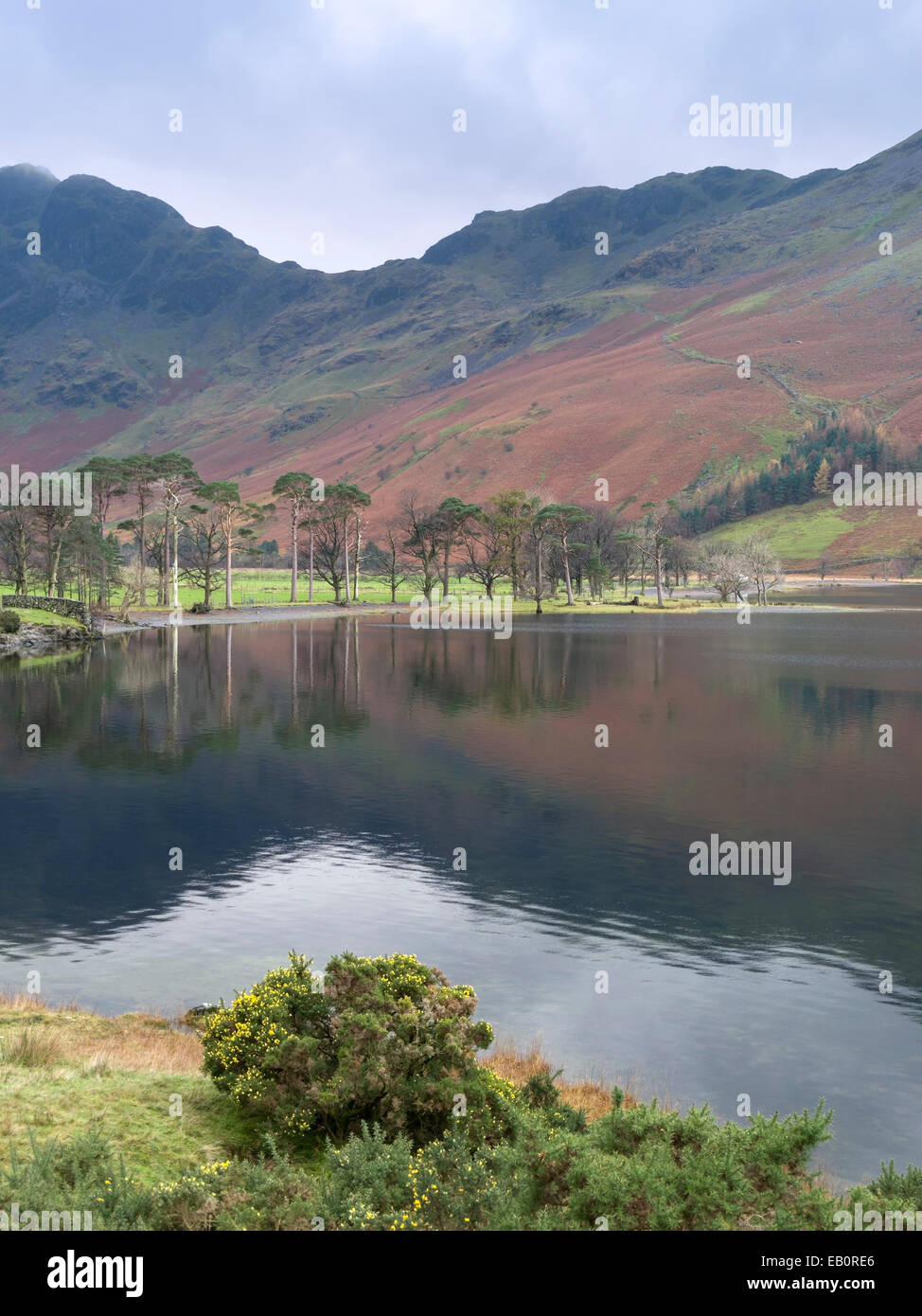 Buttermere Lago con Haystacks al di là della montagna, Lake District, Cumbria, England, Regno Unito Foto Stock