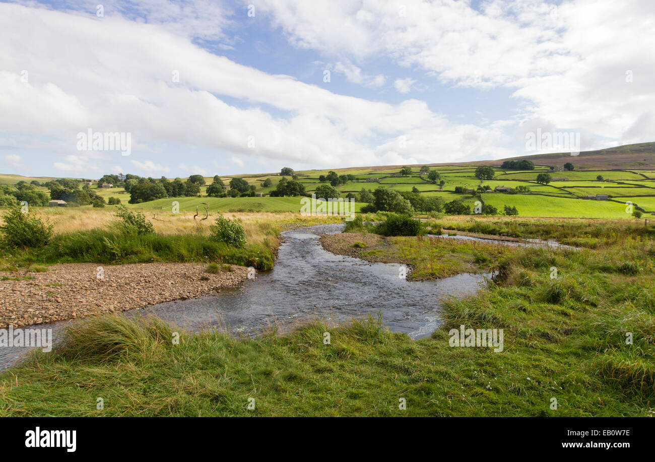I banchi di ghiaia e meandri del fiume Swale, Swaledale nel Yorkshire Dales Foto Stock