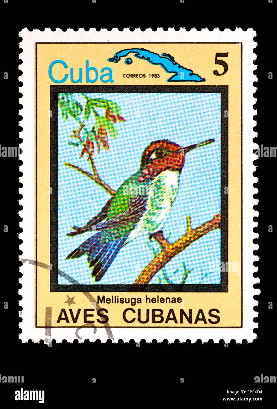 Francobollo da Cuba raffigurante un bee hummingbird o zunzuncito (Mellisuga helenae) Foto Stock