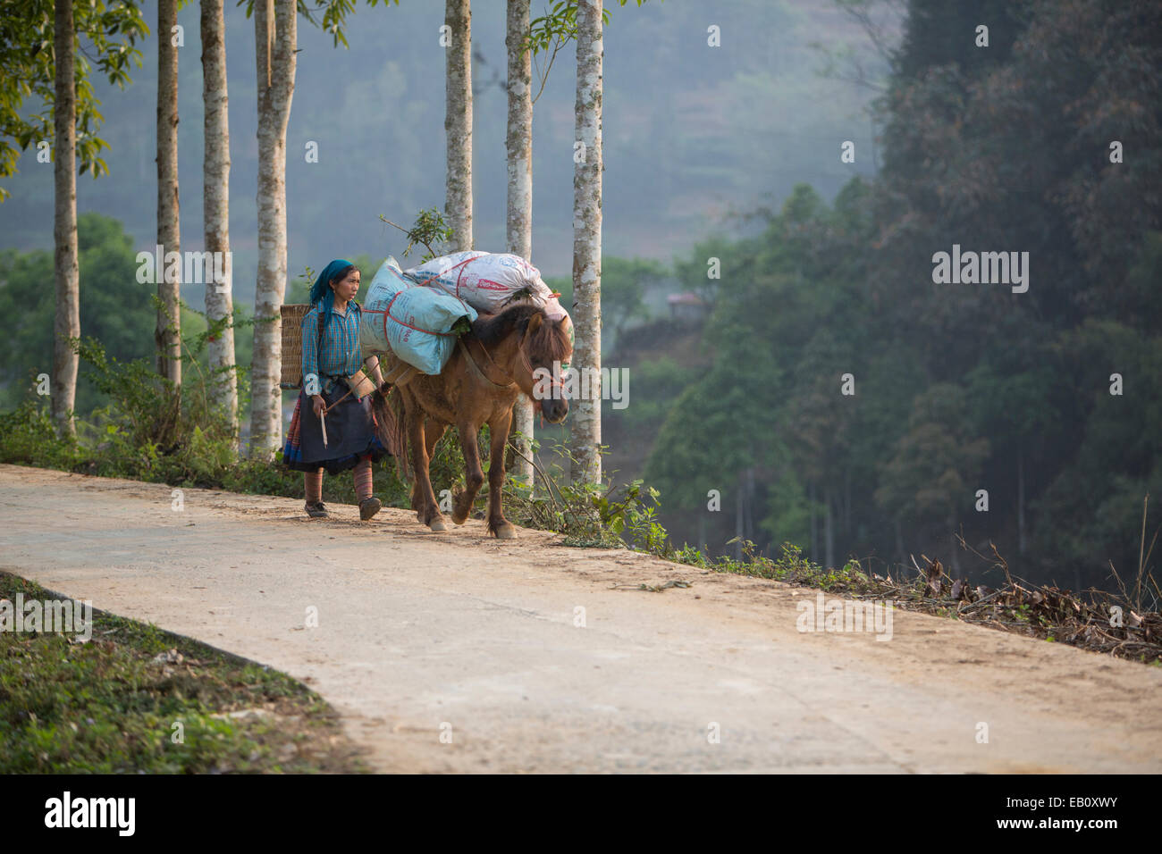 Donna passeggiate a cavallo portante mangimi per polli in Vietnam Foto Stock