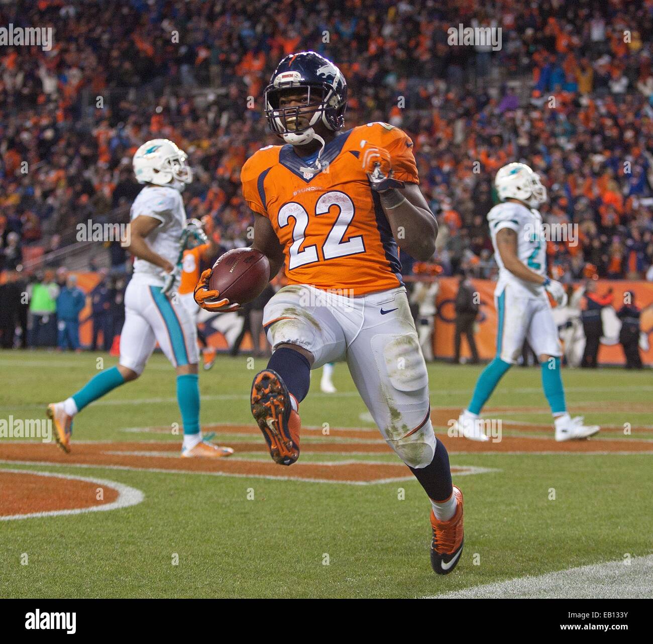 Denver, Colorado, Stati Uniti d'America. 23 Nov, 2014. Broncos RB C.J. ANDERSON viene eseguito nella zona di estremità per un TD durante il 4° trimestre all autorità sportive Field at Mile High domenica pomeriggio. I Broncos battere i delfini 39-36. Credito: Hector Acevedo/ZUMA filo/Alamy Live News Foto Stock