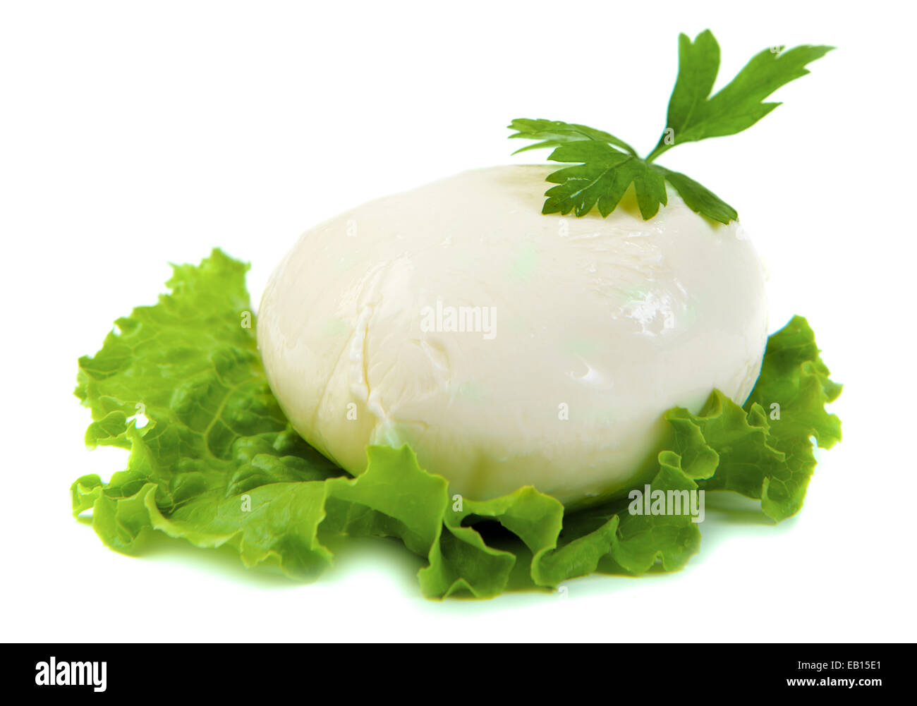 Mozzarella su foglia verde Foto Stock
