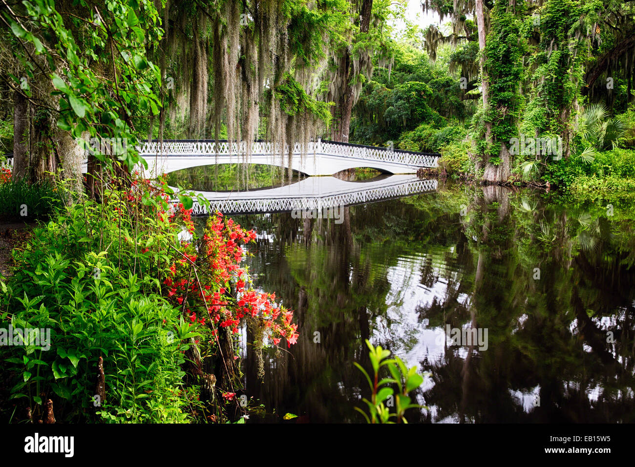 Poco bianco passerella in legno in un lago, Magnolia Plantation, Charleston, Carolina del Sud, STATI UNITI D'AMERICA Foto Stock