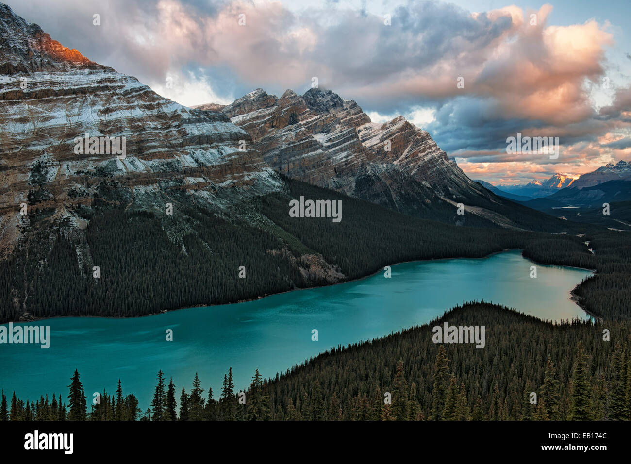 Prima luce dal Vertice di prua rivela la neve fresca su Alberta's Canadian Rockies con lo spettacolare colore turchese del Lago Peyto. Foto Stock