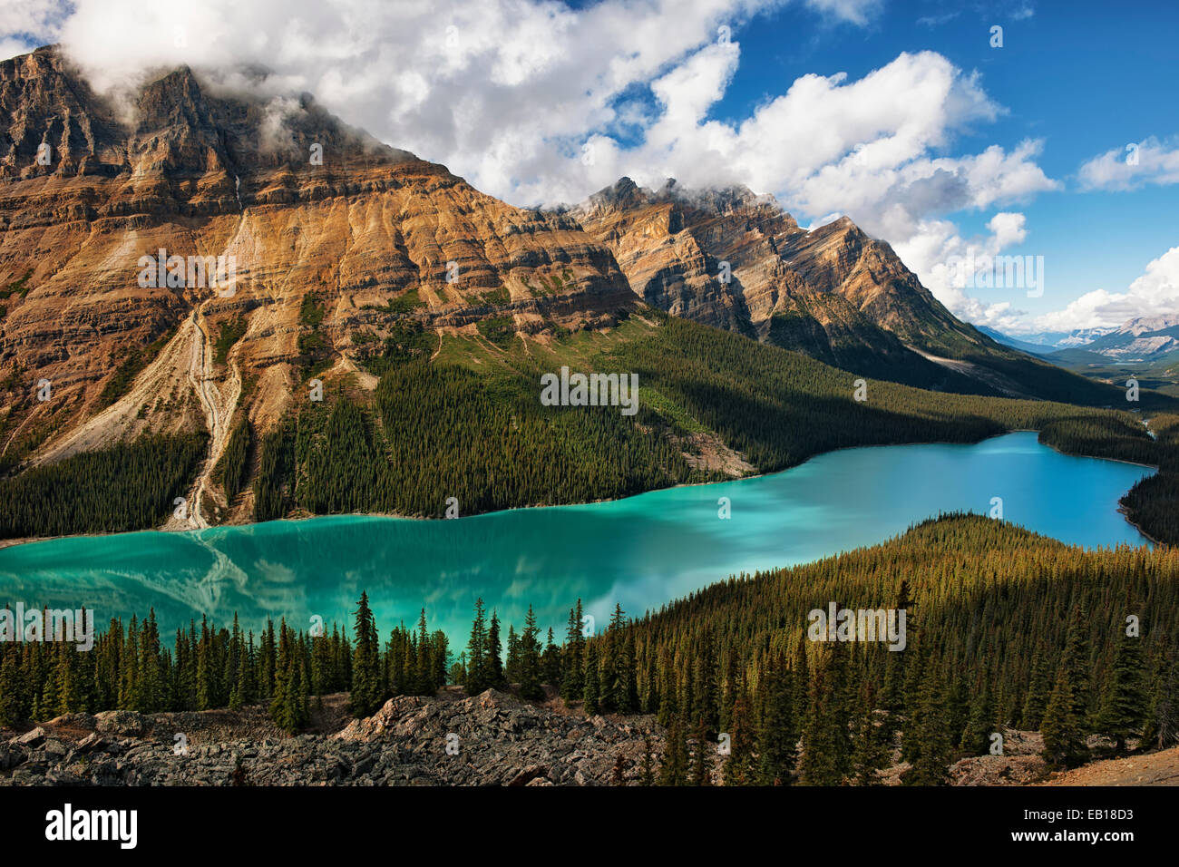 Spettacolare colore turchese del Lago Peyto in Alberta's Canadian Rockies e il Parco Nazionale di Banff dal Vertice di prua. Foto Stock