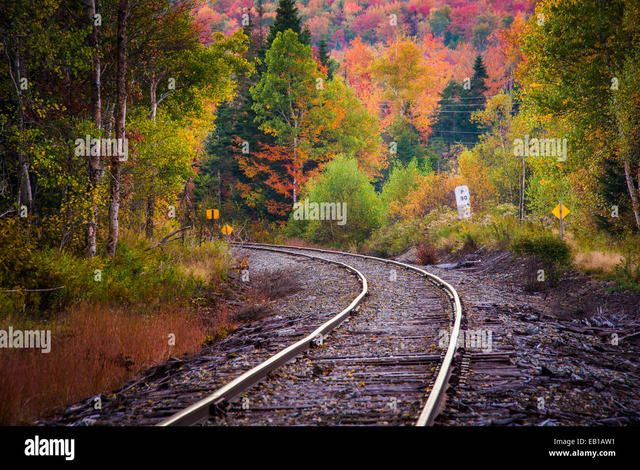 Colore di autunno lungo un binario ferroviario nel White Mountain National Forest, New Hampshire. Foto Stock