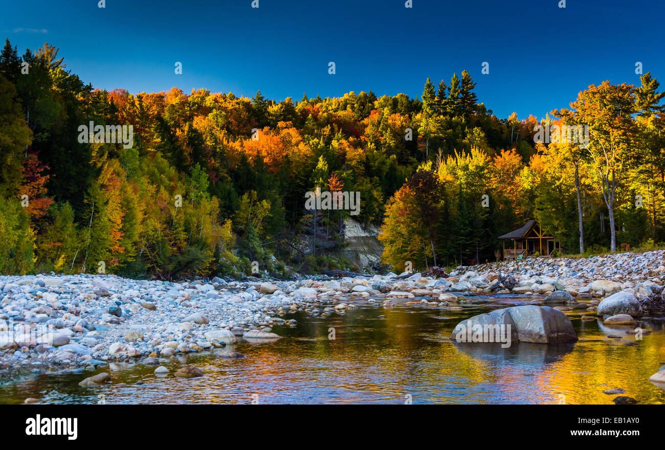 Colore di autunno lungo il fiume Peabody nel White Mountain National Forest, New Hampshire. Foto Stock