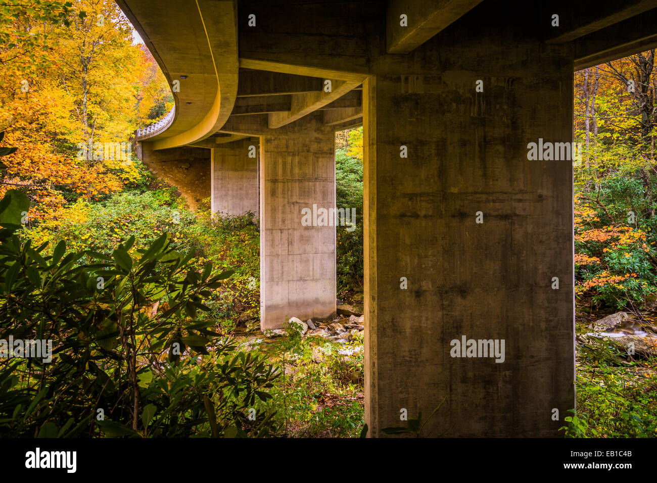Colore di autunno e ponte Boone forcella sul Blue Ridge Parkway, North Carolina. Foto Stock