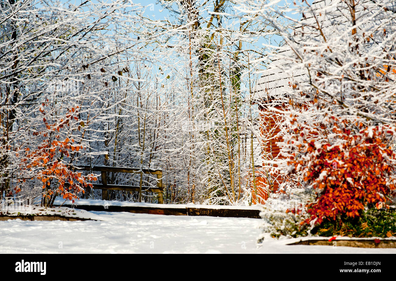 Bella giornata di sole in campagna in inverno Foto Stock