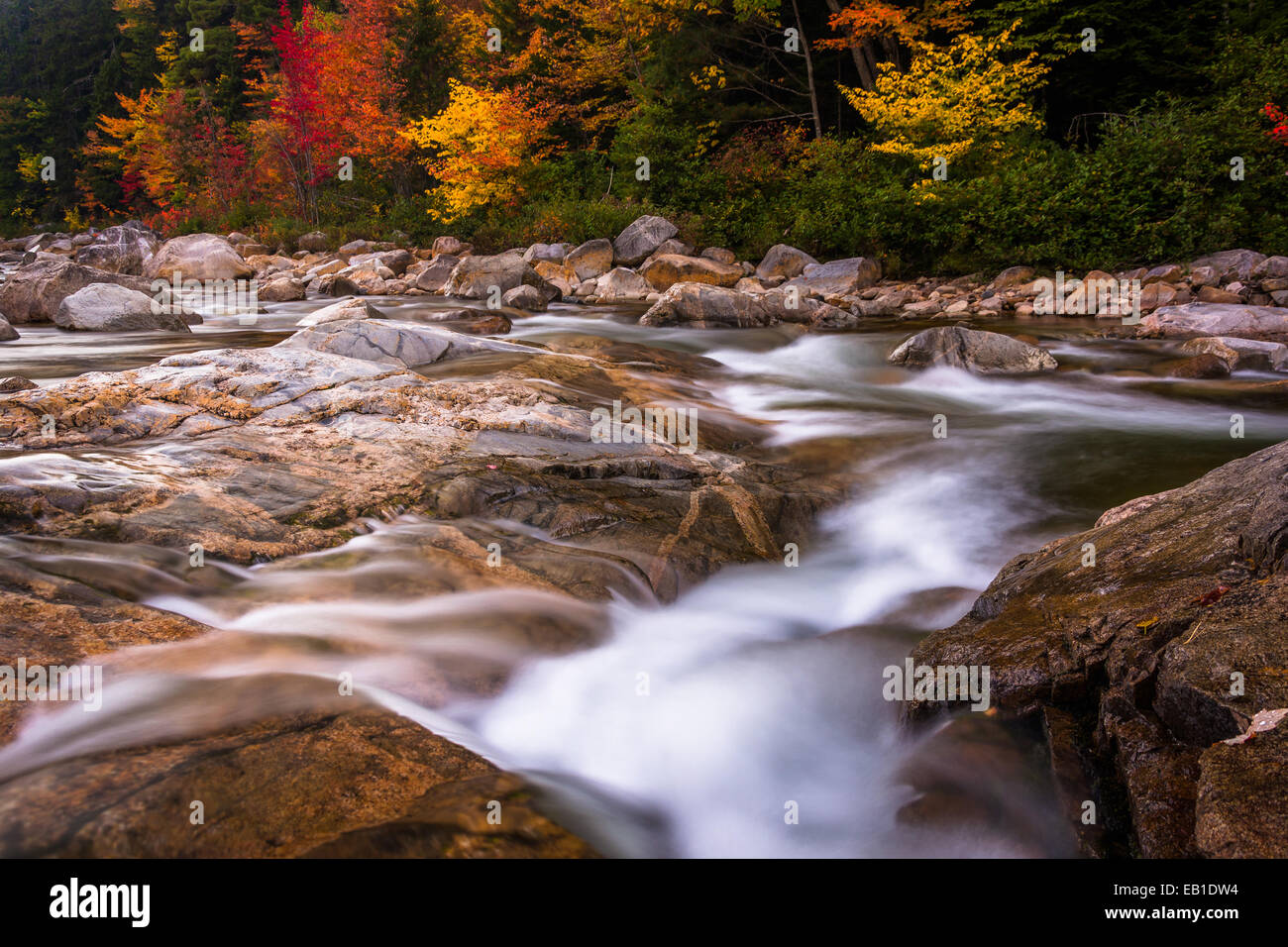 Colore di autunno e cascate sul fiume Swift, lungo l'autostrada Kancamagus nel White Mountain National Forest, New Hampshire. Foto Stock