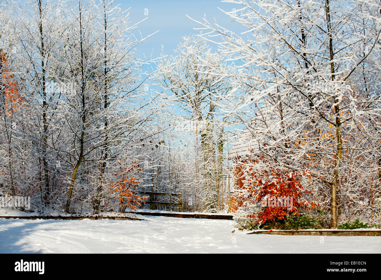 Bella giornata di sole in campagna in inverno Foto Stock