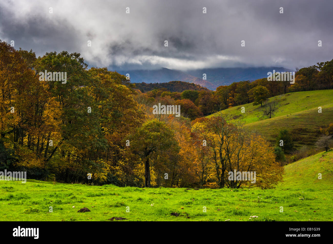 Colore di autunno e le colline di Moses Cone Park, su Blue Ridge Parkway nella Carolina del Nord. Foto Stock
