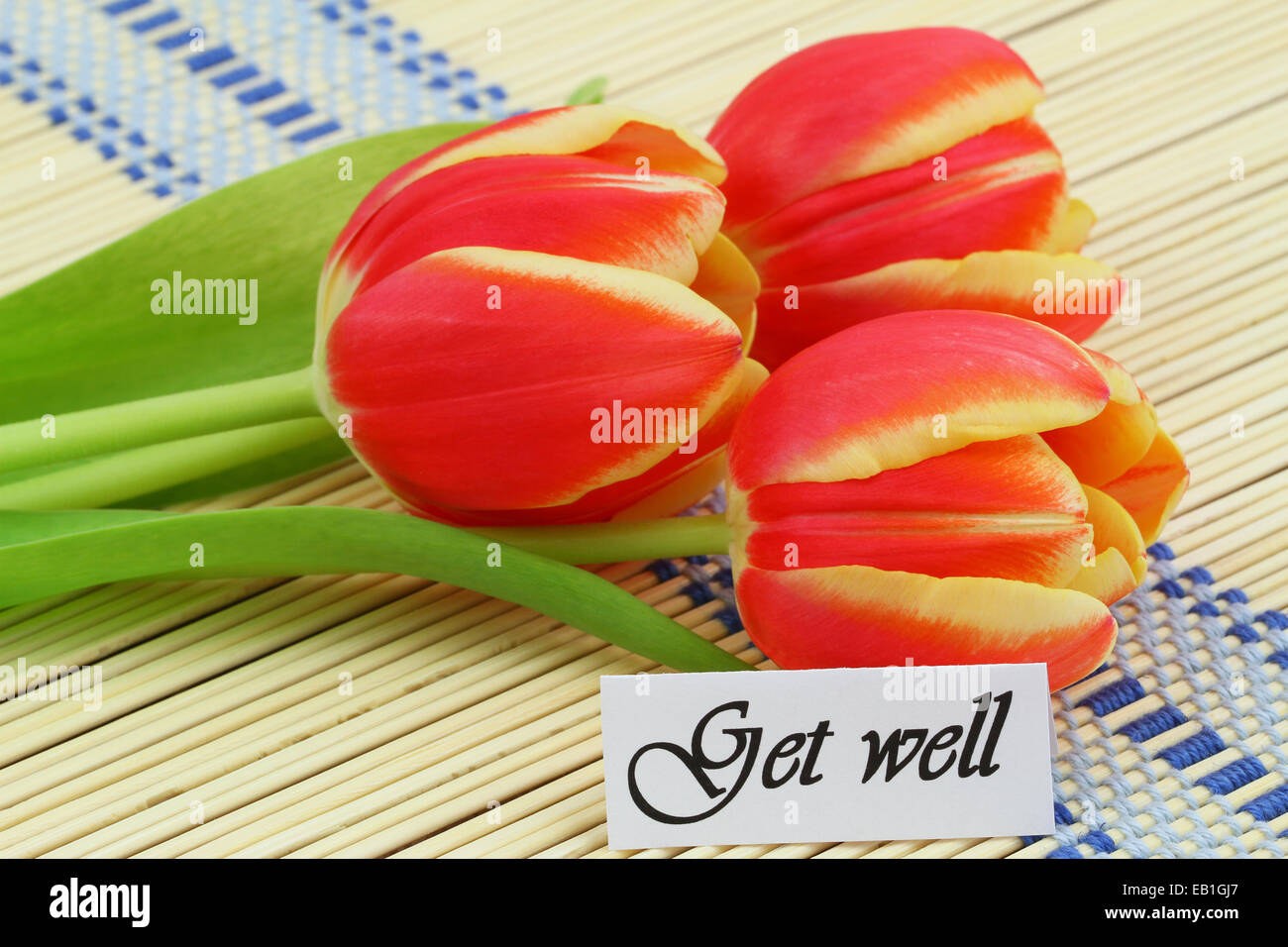 Get Well card con tulipani rossi sul tappetino di bambù Foto Stock