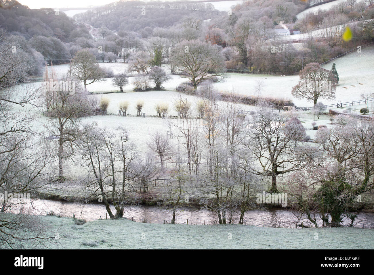 La mattina presto gelo invernale in una vallata a Exmoor vicino Winsford, Somerset REGNO UNITO Foto Stock