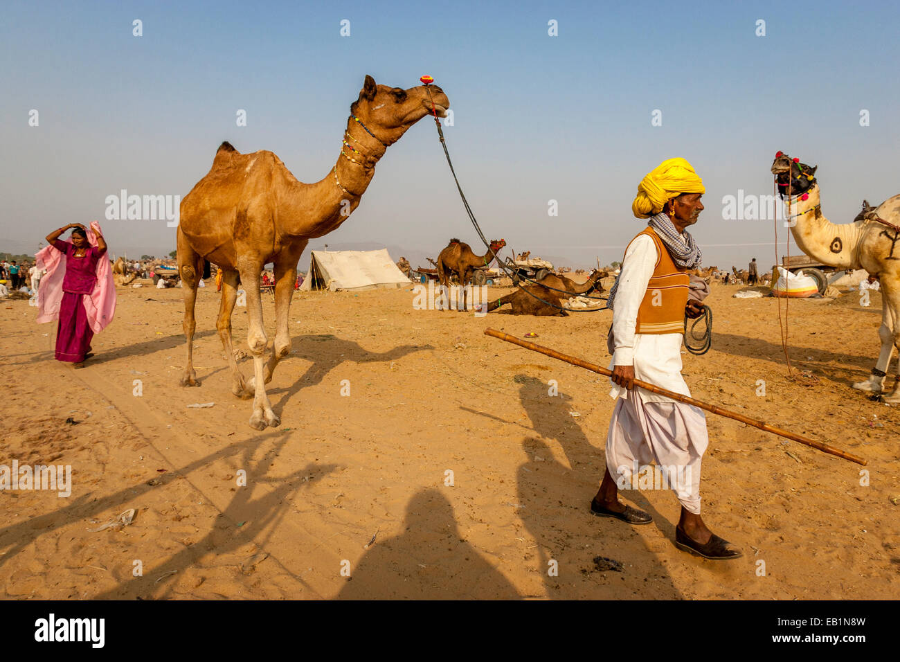 Pushkar Camel Fair, Pushkar, Rajasthan, India Foto Stock