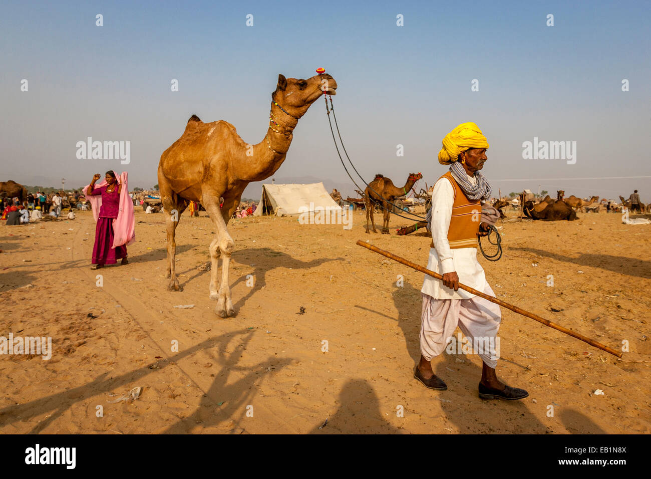 Pushkar Camel Fair, Pushkar, Rajasthan, India Foto Stock