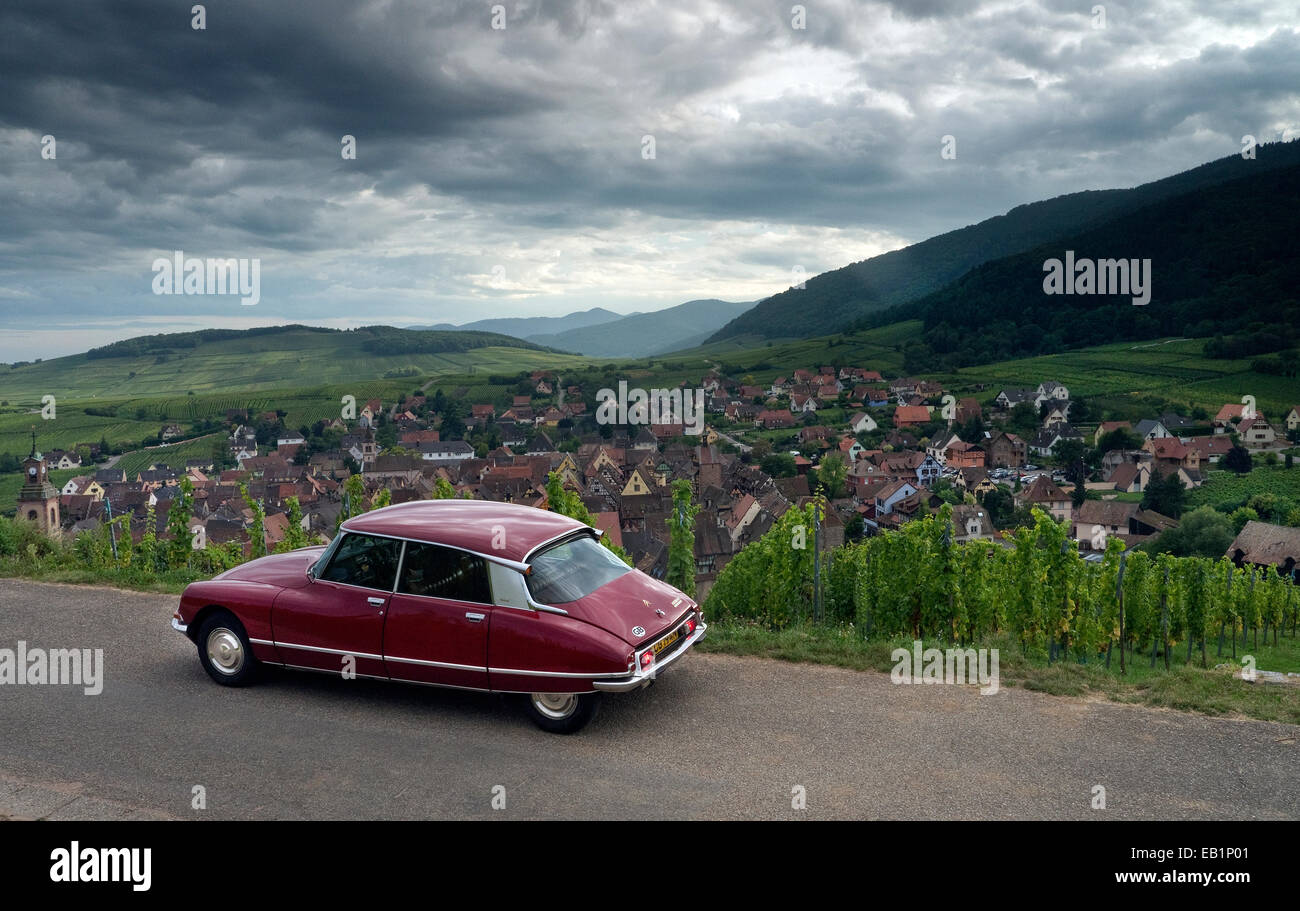 Citroen DS guida in vigneti sopra Riquewihr sull'Alsazia strada del vino in Francia Foto Stock