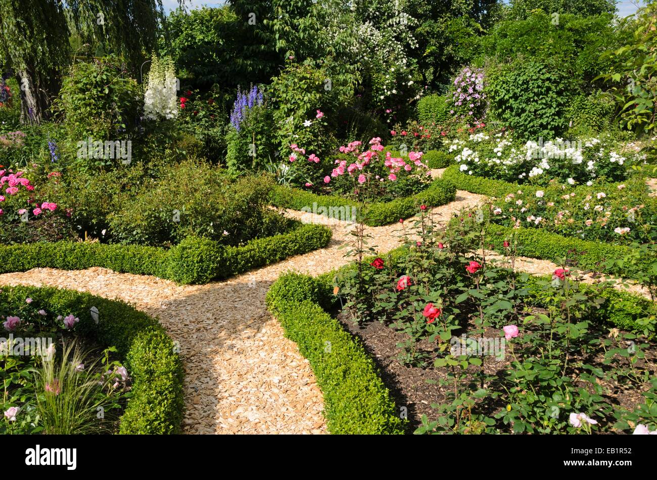 Siepi di bosso in un giardino di rose. design: marianne e detlef lüdke Foto Stock