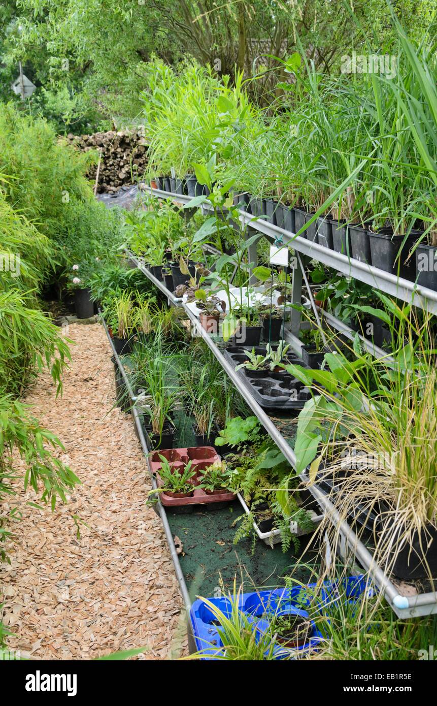 Luogo di lavoro nel giardino con piante in vasi di fiori Foto Stock