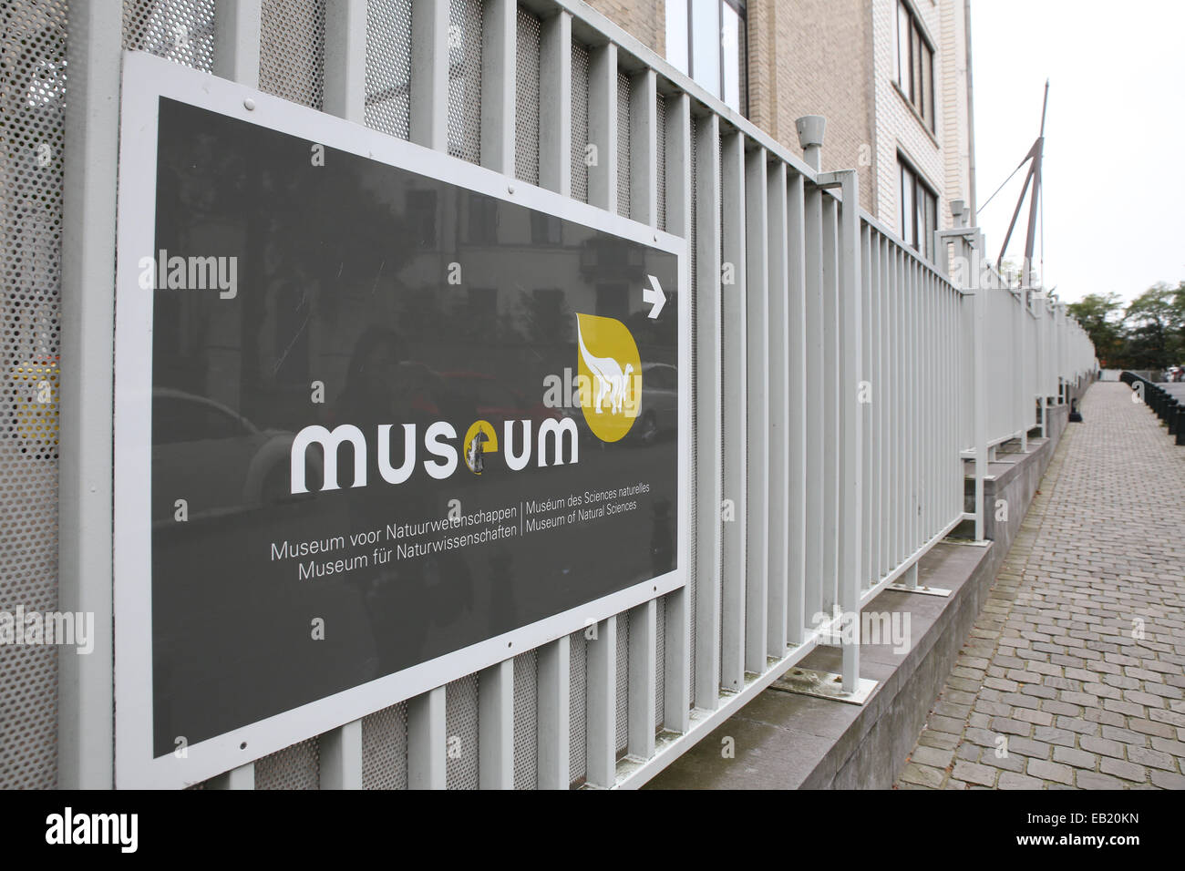 Bruxelles Museo di Scienze Naturali di direzione di segno Foto Stock